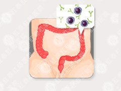 慢性結(jié)腸炎的癥狀及治療?